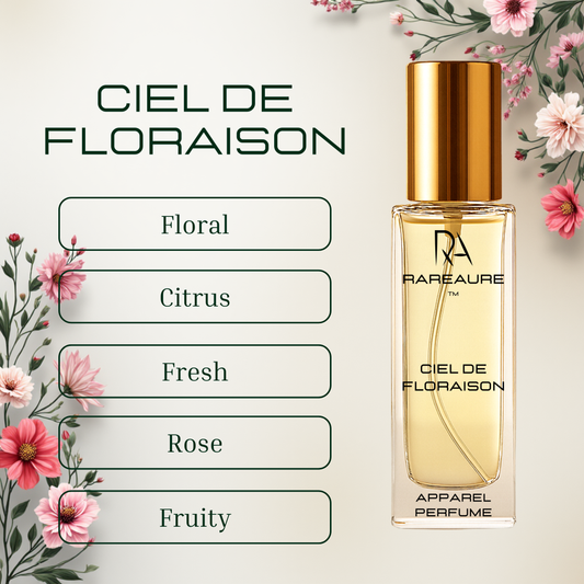 Womens Premium Perfume Pack of 4